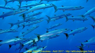 Mer Rouge Août 2017 jeudi 17 août 2017 23:20:02 