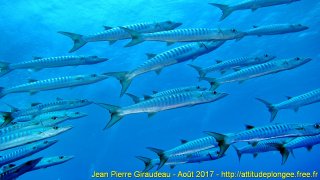 Mer Rouge Août 2017 jeudi 17 août 2017 23:20:10 