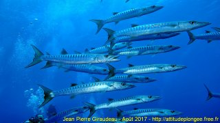 Mer Rouge Août 2017 jeudi 17 août 2017 23:20:16 