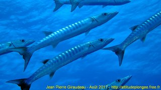 Mer Rouge Août 2017 jeudi 17 août 2017 23:22:03 