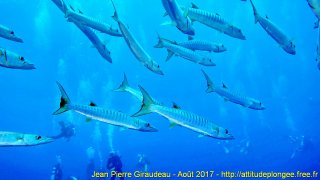 Mer Rouge Août 2017 jeudi 17 août 2017 23:22:31 
