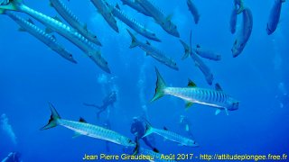 Mer Rouge Août 2017 jeudi 17 août 2017 23:22:38 