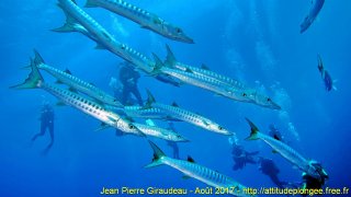 Mer Rouge Août 2017 jeudi 17 août 2017 23:23:08 
