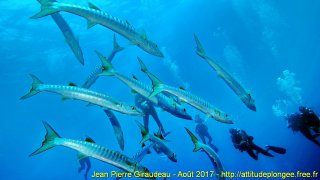 Mer Rouge Août 2017 jeudi 17 août 2017 23:23:14 