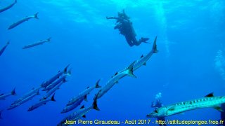 Mer Rouge Août 2017 jeudi 17 août 2017 23:23:27 