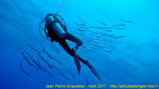 Mer Rouge Août 2017 jeudi 17 août 2017 23:25:05 
