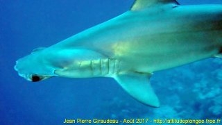 Mer Rouge Août 2017 vendredi 18 août 2017 19:08:49 