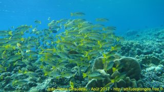 Mer Rouge Août 2017 vendredi 18 août 2017 19:36:31 