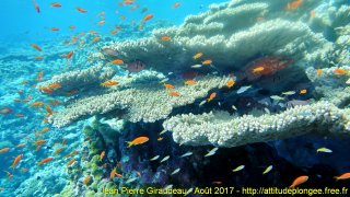 Mer Rouge Août 2017 vendredi 18 août 2017 19:40:24 
