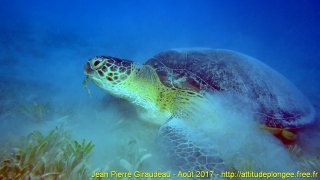 Mer Rouge Août 2017 samedi 19 août 2017 05:08:19 
