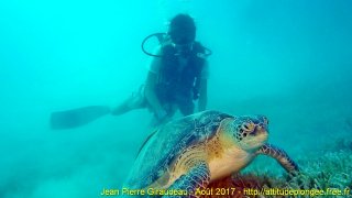 Mer Rouge Août 2017 samedi 19 août 2017 05:09:51 