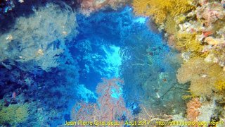 Mer Rouge Août 2017 dimanche 20 août 2017 04:51:54 