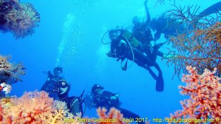 Mer Rouge Août 2017 dimanche 20 août 2017 04:52:19 