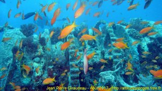 Mer Rouge Août 2017 mercredi 23 août 2017 23:22:48 