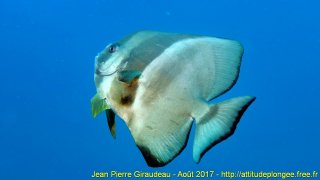 Mer Rouge Août 2017 mercredi 23 août 2017 23:39:52 