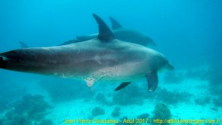 Mer Rouge Août 2017 vendredi 25 août 2017 01:45:20 