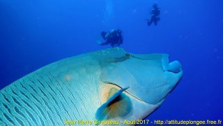 Mer Rouge Août 2017 vendredi 18 août 2017 04:04:38 