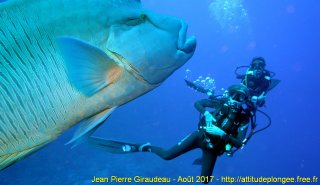 Mer Rouge Août 2017 vendredi 18 août 2017 04:04:53 