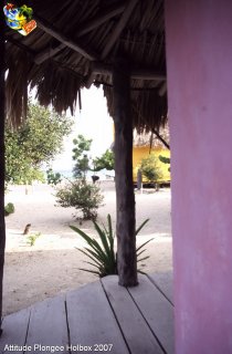 Mexique