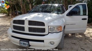 web-0_dsc02284