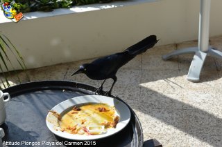 Mexique dimanche 22 février 2015 16:46:41 
