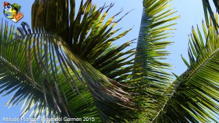 Mexique dimanche 1 mars 2015 11:53:32 