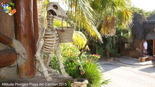 Mexique dimanche 1 mars 2015 11:59:42 