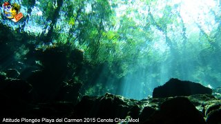 web-dsc02212b