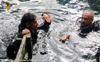 web-quintana_roo-2017-01-18-19h02m28