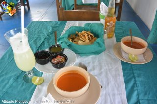 web-quintana_roo-2017-01-12-21h32m48