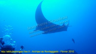 Pacifique mercredi 10 février 2010 08:30:15 