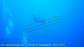 Pacifique mercredi 10 février 2010 08:45:40 