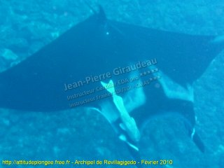 Pacifique mercredi 10 février 2010 11:56:05 
