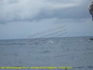 Pacifique jeudi 11 février 2010 10:35:40 