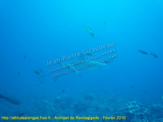 Pacifique vendredi 12 février 2010 11:10:43 