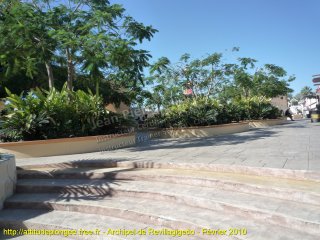 Pacifique lundi 15 février 2010 11:09:49 