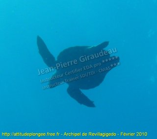 Pacifique samedi 13 février 2010 14:03:24 