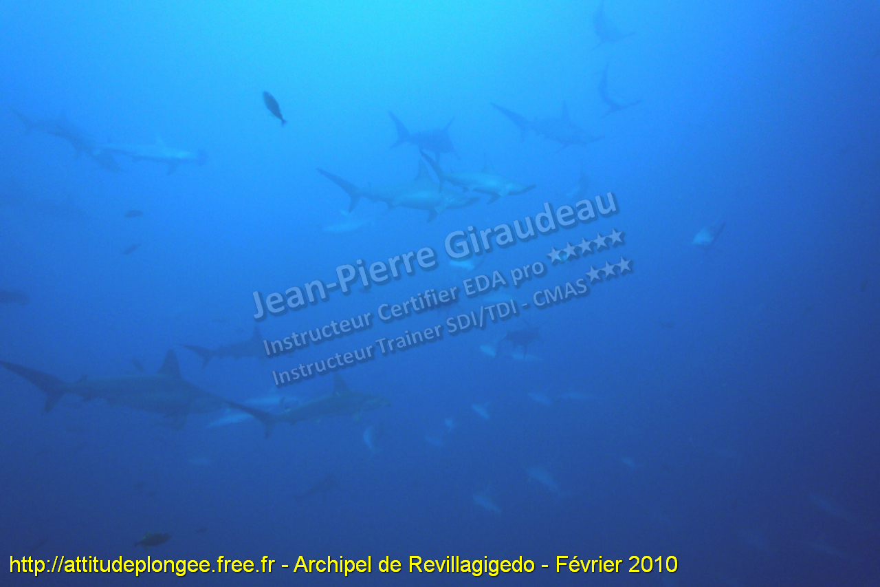 L'Aventure c'est facile… Il suffit de vouloir !!!