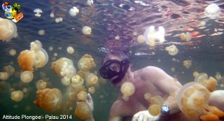 Palau jeudi 27 février 2014 12:26:08 