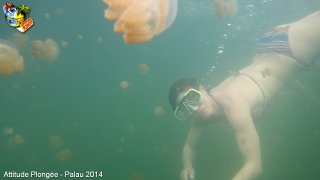 Palau jeudi 27 février 2014 12:07:05 