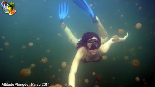 Palau jeudi 27 février 2014 12:09:35 