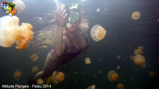 Palau jeudi 27 février 2014 12:13:01 