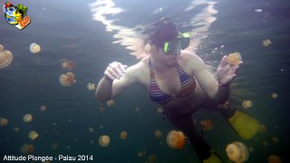 Palau jeudi 27 février 2014 12:13:05 