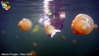 Palau jeudi 27 février 2014 12:14:29 
