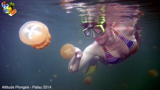 Palau jeudi 27 février 2014 12:14:34 