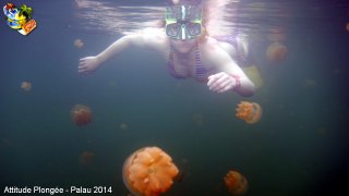 Palau jeudi 27 février 2014 12:15:48 