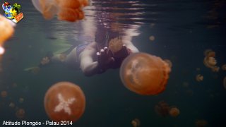 Palau jeudi 27 février 2014 12:16:42 