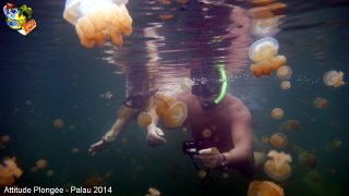 Palau jeudi 27 février 2014 12:19:52 