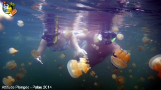 Palau jeudi 27 février 2014 12:20:01 