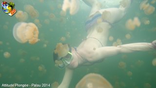 Palau jeudi 27 février 2014 12:22:50 